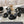 CC 25C 10CM Mid Heed Sandals Black Suede 213328