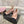 mary janes 60 double buckle beige calfskin black grosgrain