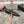 mary janes double buckle black calfskin grosgrain