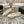 CC 25A Loafer Light Beige Sherpa Suede