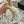 CC 25A Loafer Light Beige Sherpa Suede