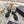 CC Camellia Flower Block Heel Sandals Black Canvas Sheepskin 735984