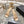 CC AW26 RTW Sandal 7cm Beige Lambskin 736096