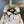 C. Goose Bomber Jacket Ivory White Polyester 0035