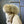 C. Goose Bomber Jacket Ivory White Polyester 0035