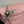 CC Phone Holder Bag 17cm Pink Lambskin