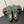ALAIA BALLET FLATS IN COOL GREEN MESH FISHNET