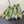 CUT-OUT BALLERINAS IN OLIVE GREEN SATIN