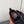 LP Cairn Walk Sneaker Black Calfskin and Fabric 210926
