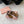 Miu Thong Sandals In Russet Brown Shiny Lambskin With Silver Buckle