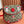 Gucci Dog Print Shoulder Bag White Red Beige Canvas 239661