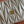 Miu Matelassé Pouch Bag 15cm White Leather