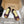 LOEW 26s Ballet Runner 2.0 Burgundy Yellow Suede Sheepskin 683932
