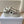 CD Star Platform Sneaker In Light Brown Grey Suede 998720