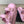 DAD SANDAL IN PALE PINK CALFSKIN MULE
