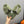 HM Oran Sandal Fern Green Wool 952316