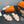 HM Oran Sandal Coral Pink Wool 952338