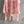 CD Shirt Pink Cotton