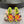 DC 24 Butterfly High Heel Neon Cowhide & Sheepskin 295967