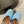 Alaila Wedge Sandals 115mm In Light Blue Glossy Lambskin 954883