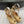 Alaila Wedge Sandals 135mm In Beige Glossy Lambskin 954895