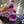 CL 25 Basketball Sneaker Multicolor Cowhide 323153