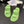 CC 25 Dad Sandal Mule Green Calfskin