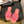 CC 25 Mule Hot Pink Sheepskin 277683