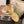 CC 25 Thong Sandal Double Strap