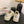 CC25 Sneaker White Beige Canvas 288783