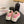 CC25 Sneaker Pink Beige Canvas 288784