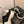 CC Alexander McQueen Sneakers Black White Leather and Ceiling Fabric 537190