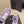 CC 26 Sneaker Purple mix White Tweed Fabric and Suede 589083