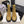 CC 26 Boot With Lug Sole Tan Black Suede Leather 588679