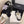 CC 26 Fur-lined Loafer With Bow Black White Wool Leather 588825