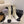 CC 26 Short Boot With Gold-tone Ankle Chain White Black Lambskin 588820