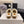 CC 26 Daisy Shearling-lined Slipper Brown Patent Leather 588694