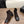 CC 26s Oxford Boots 5.5cm Coffee Suede 909940