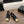 CC 26s Loafer 5cm Black Gold Leather 910478