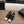 CC 26s Loafer 5cm Black Gold Leather 910478
