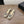 CC 26s Slingback Black Beige Lambskin Patent Leather 915318