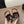 CC 26s Slingback Black Burgundy Lambskin Patent Leather 915320