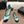 CC 26s Mary Jane Black Light Blue Patent Leather 915324