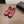 CC 26s Mary Jane Black Red Lambskin Patent Leather 915325