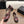 CC 26s Mary Jane Black Burgundy Lambskin Patent Leather 915326