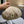 BERET HAT IN PEANUT BROWN CORDUROY 429843
