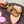 LV x TM Speedy Bandouliere 25cm Sakura Brown Cherry Blossom Monogram Canvas