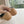 SL GEMMA BALLET FLAT CAMEL SUEDE