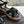 CC Mules Sandals Black 6cm Lambskin 202879