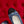 ballet flat blue black denim grosgrain